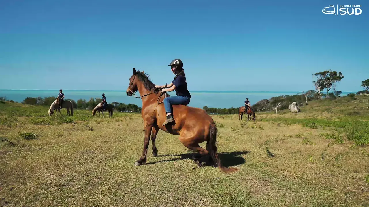 far west ranch - balade équestre à moindou, bourail, boulouparis