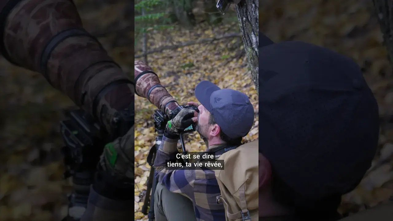 Rémy Masseglia, photographe animalier