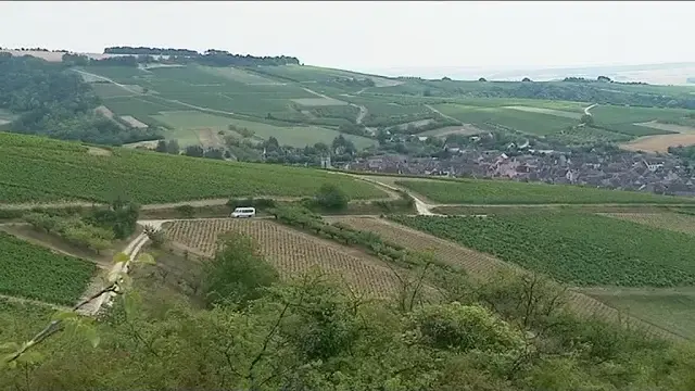 Yonne : un œnobus pour découvrir le vignoble auxerrois