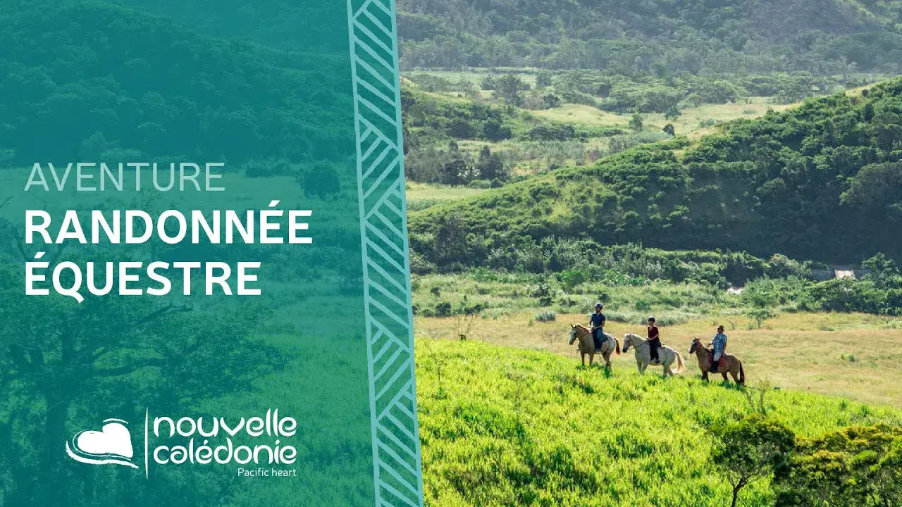 Découvrez la randonnée équestre en Nouvelle-Calédonie