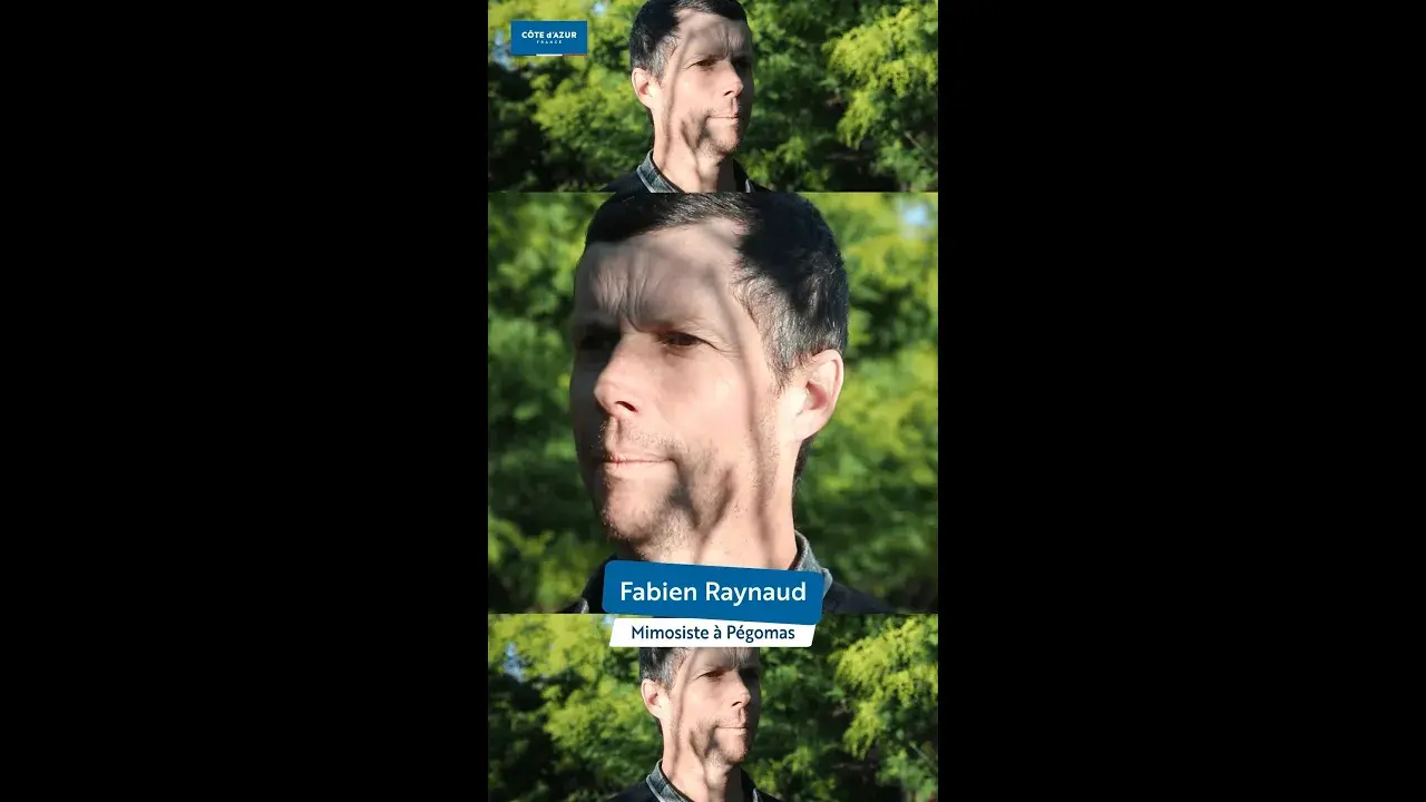 Fabien Raynaud, La Colline des Mimosas, Pégomas