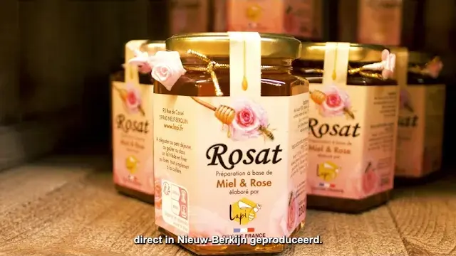 Neuf Berquin : L'API