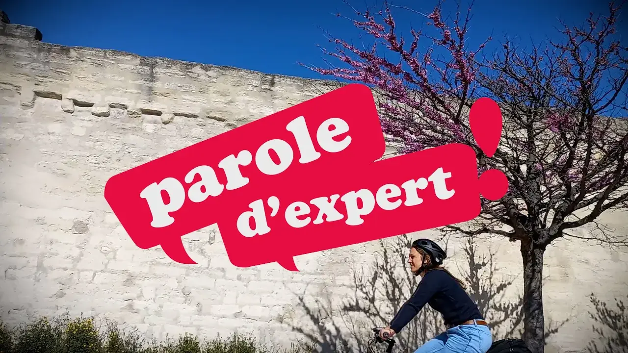 Parole d'expert : Avignon, destination vélo