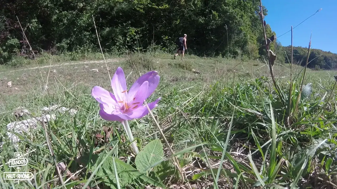 rando de la semaine - episode 9 la maison des fées