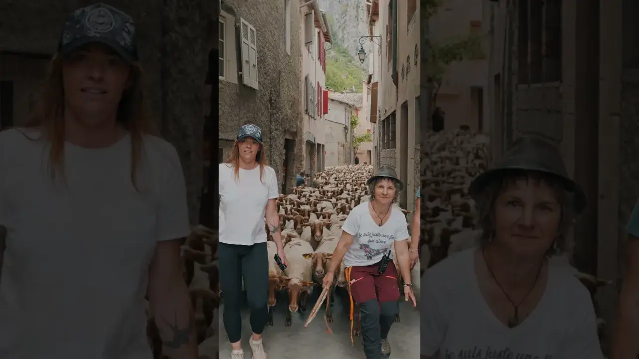 fête de la transhumance