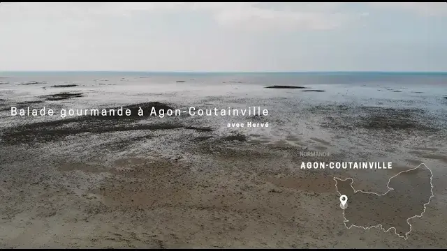 [ Expérience ] Balade gustative autour de l'huître et des moules à Agon-Coutainville