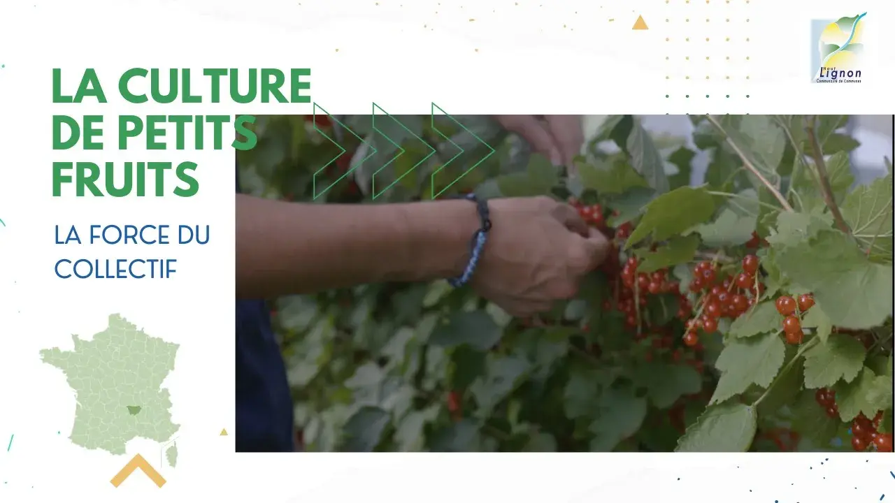 GIE des Producteurs de Fruits Rouges