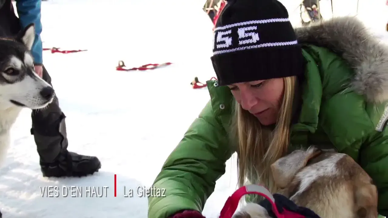 La Giettaz - Chiens de traineaux