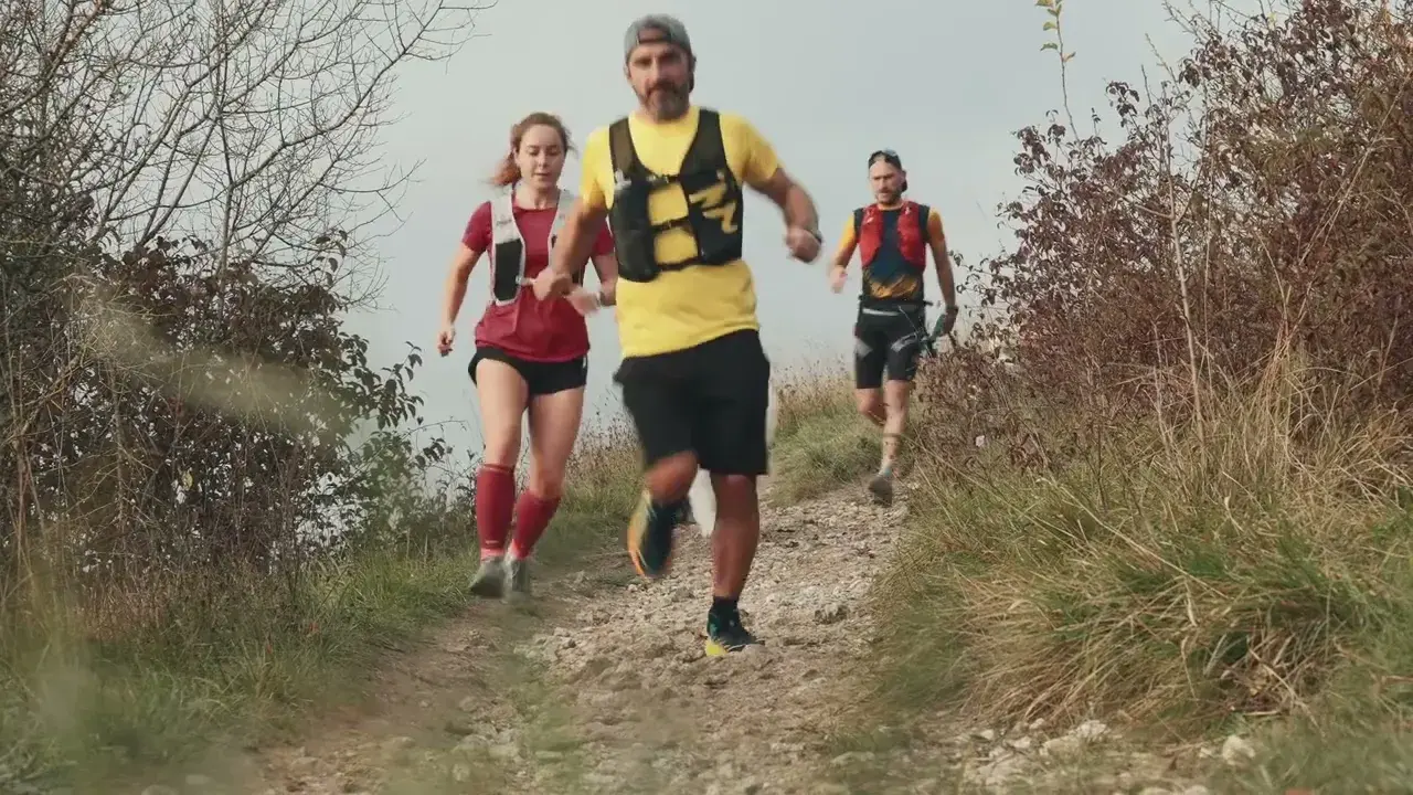 Découvrez la vidéo :