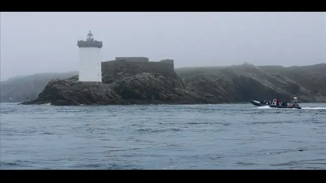 Boat trip à Molène : quand la faune marine entre en scène !