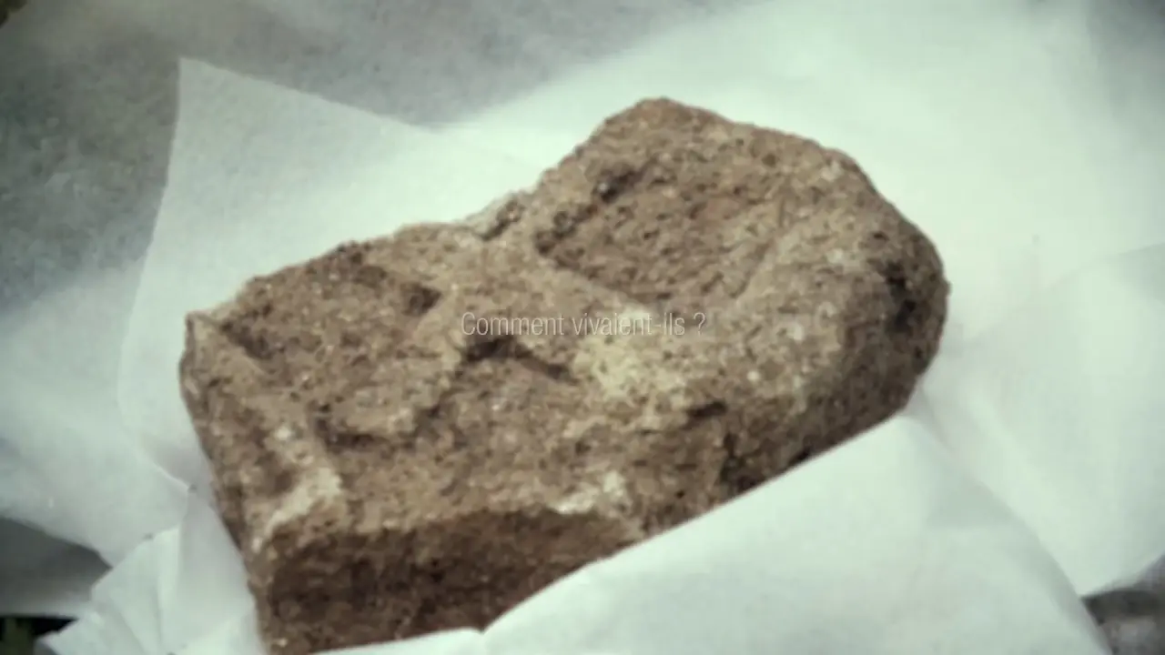 L'énigme du Mont Châtel - Nouveaux regards sur l'Ain mérovingien