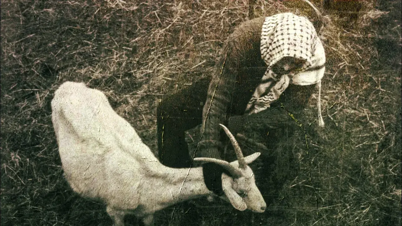 aga - acerola (clip officiel)