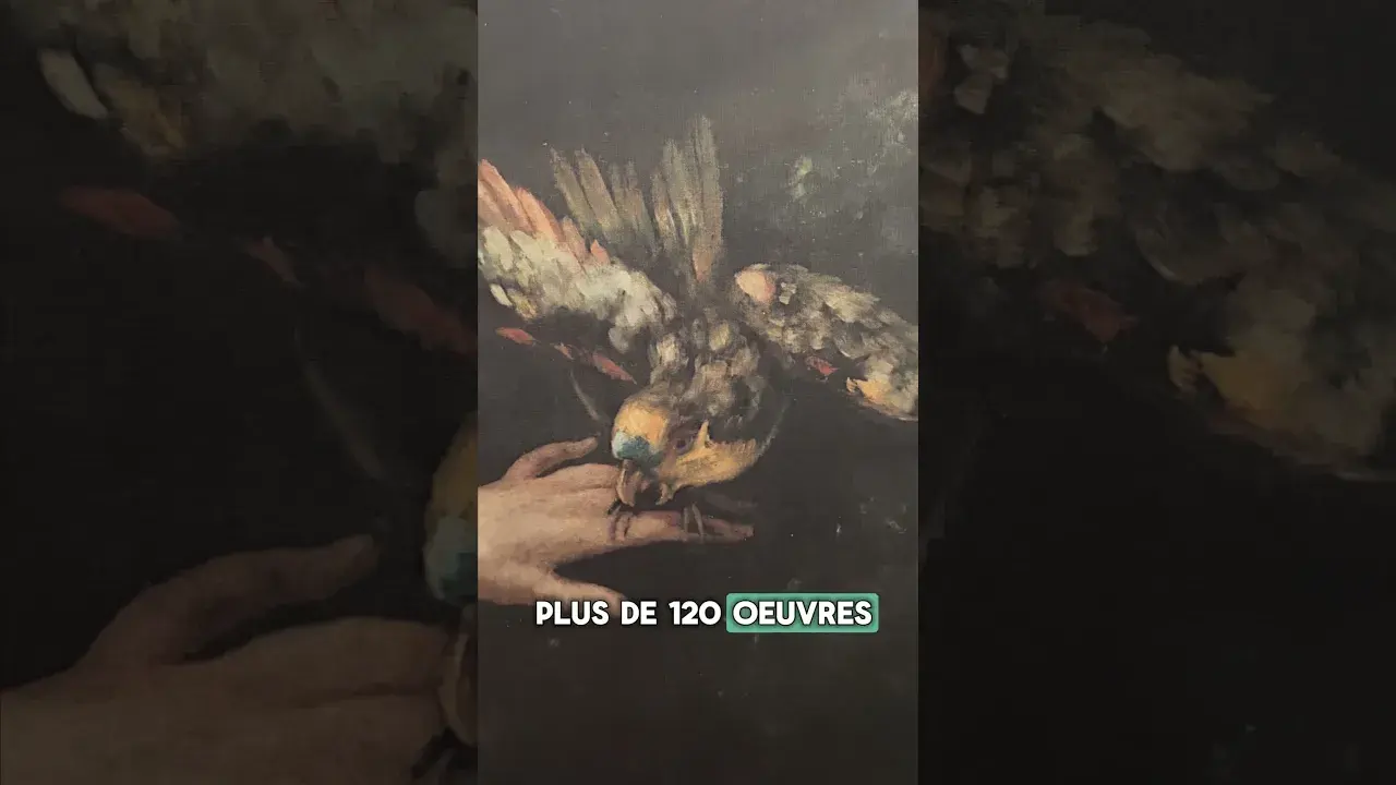 visite de l'exposition gustave courbet au musée de la banque à hyères