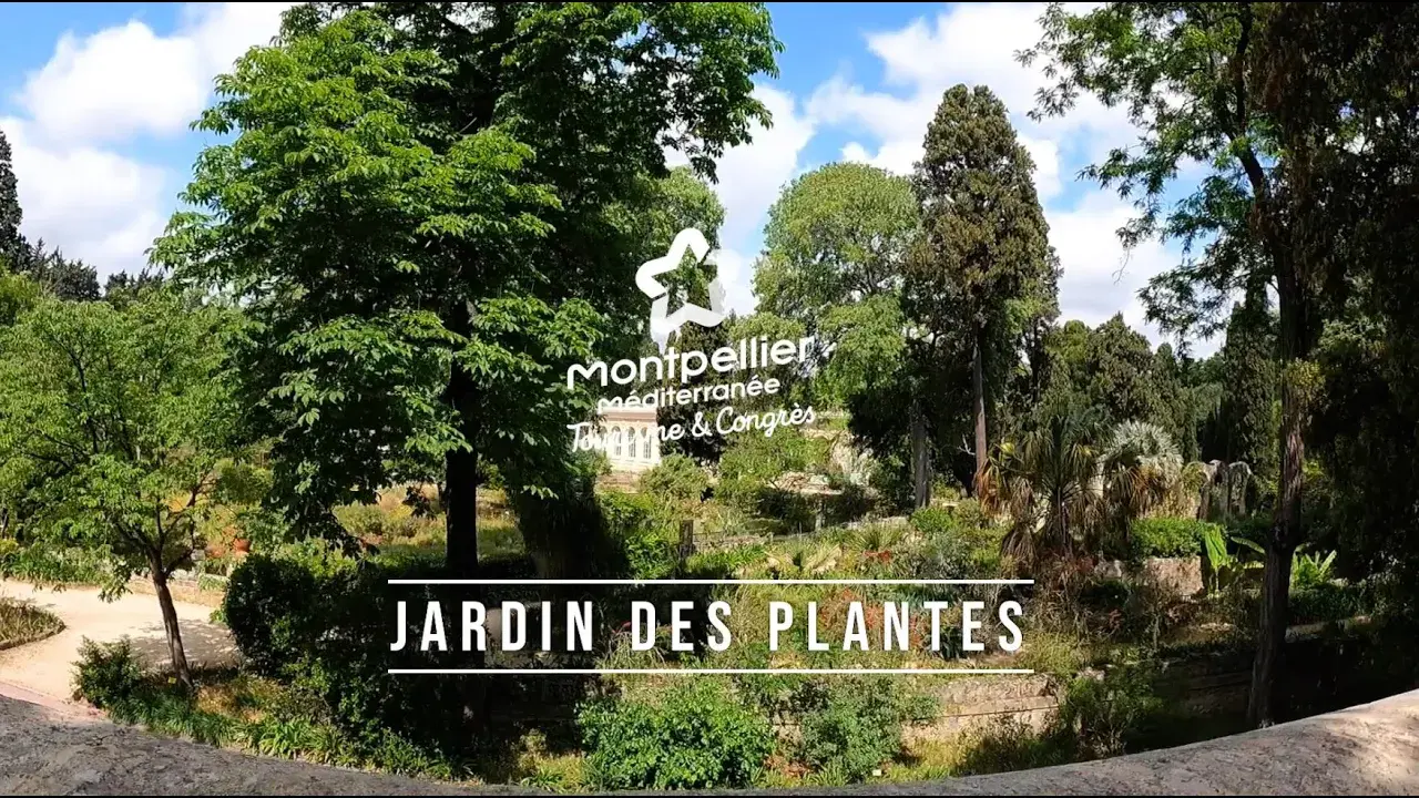 Le Jardin des plantes de Montpellier