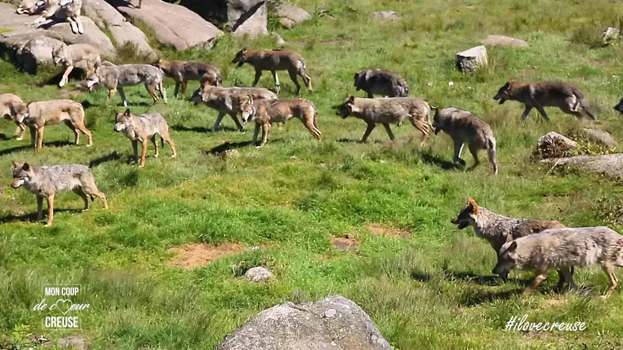 Coup de Coeur Creuse : Adrien Bienvenu