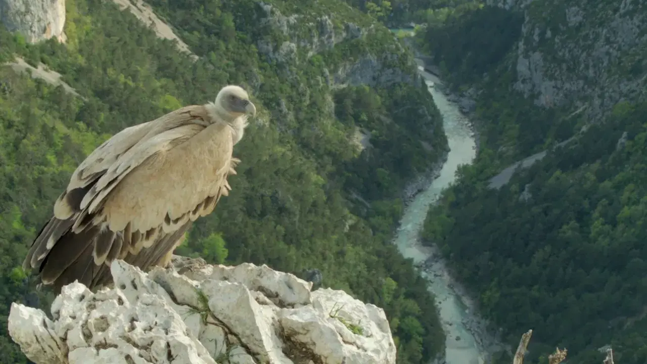 chemins des parcs, tours et détours dans les parcs naturels régionaux de provence alpes côte d'azur