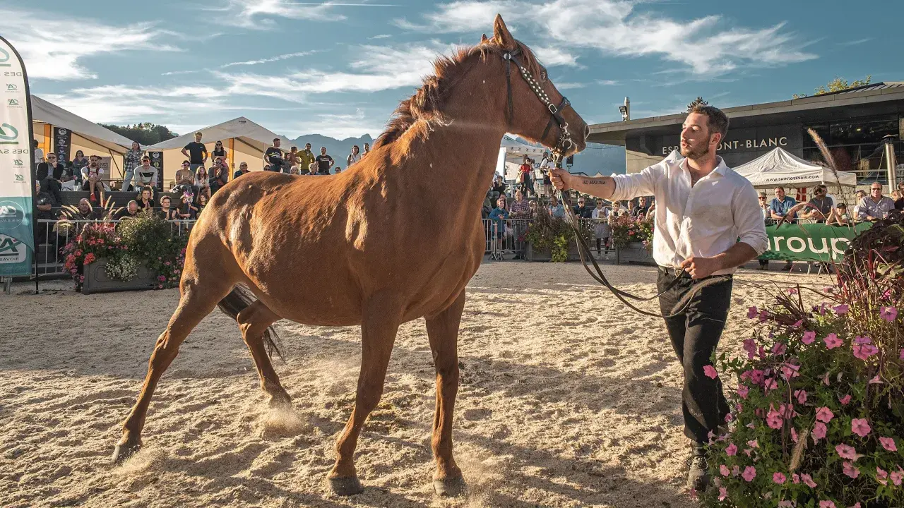 La foire agricole de Saint-Gervais Mont-Blanc