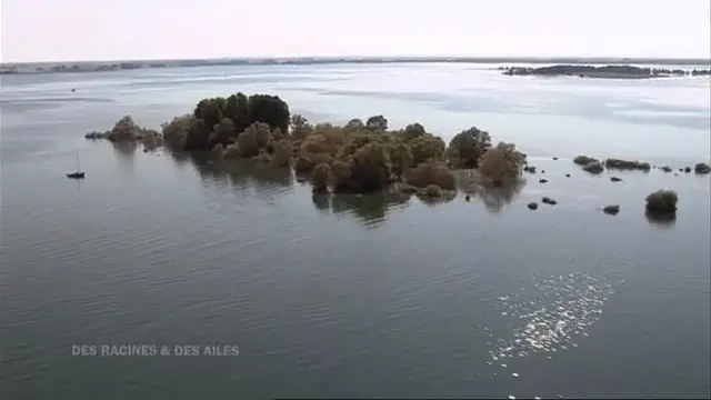 Lac du Der, le plus grand lac artificiel d'Europe