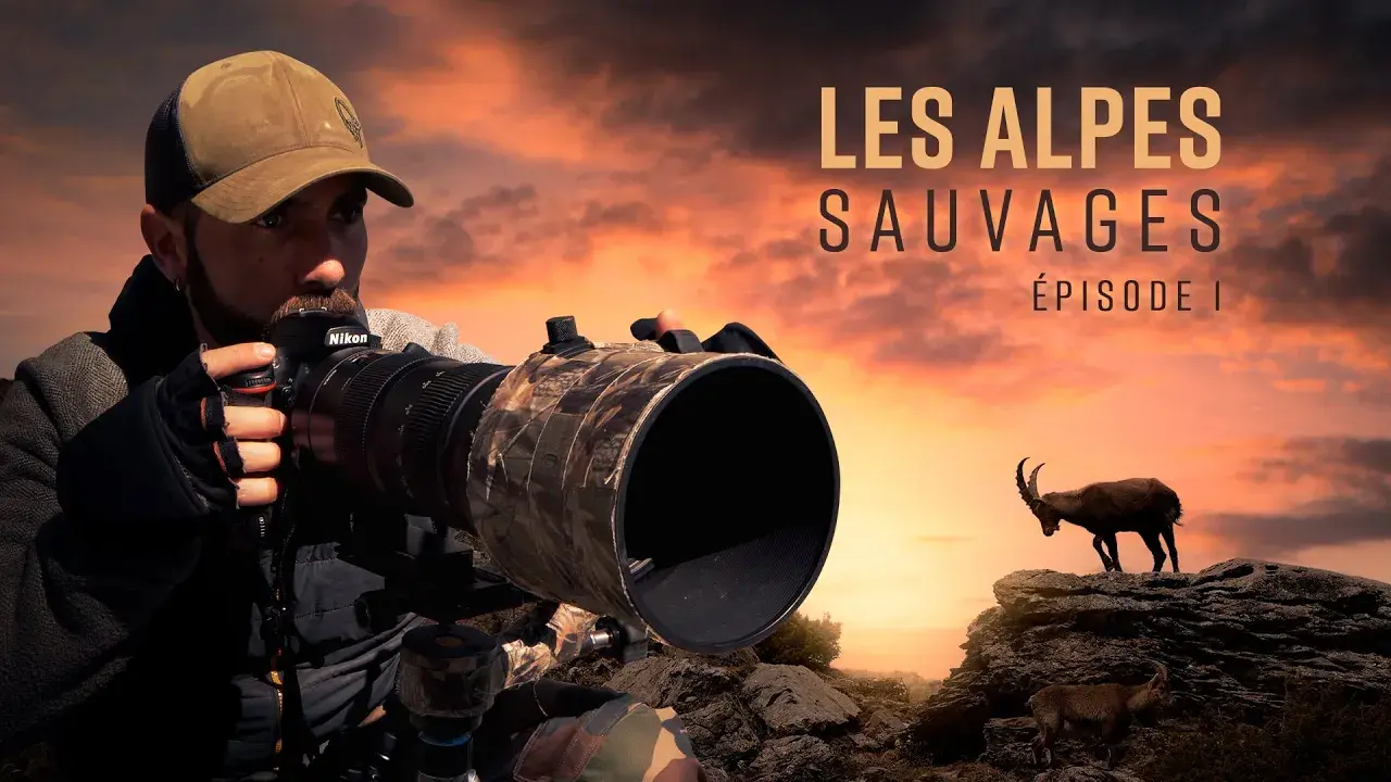 LES ALPES SAUVAGES épisode 1 (LE BOUQUETIN)