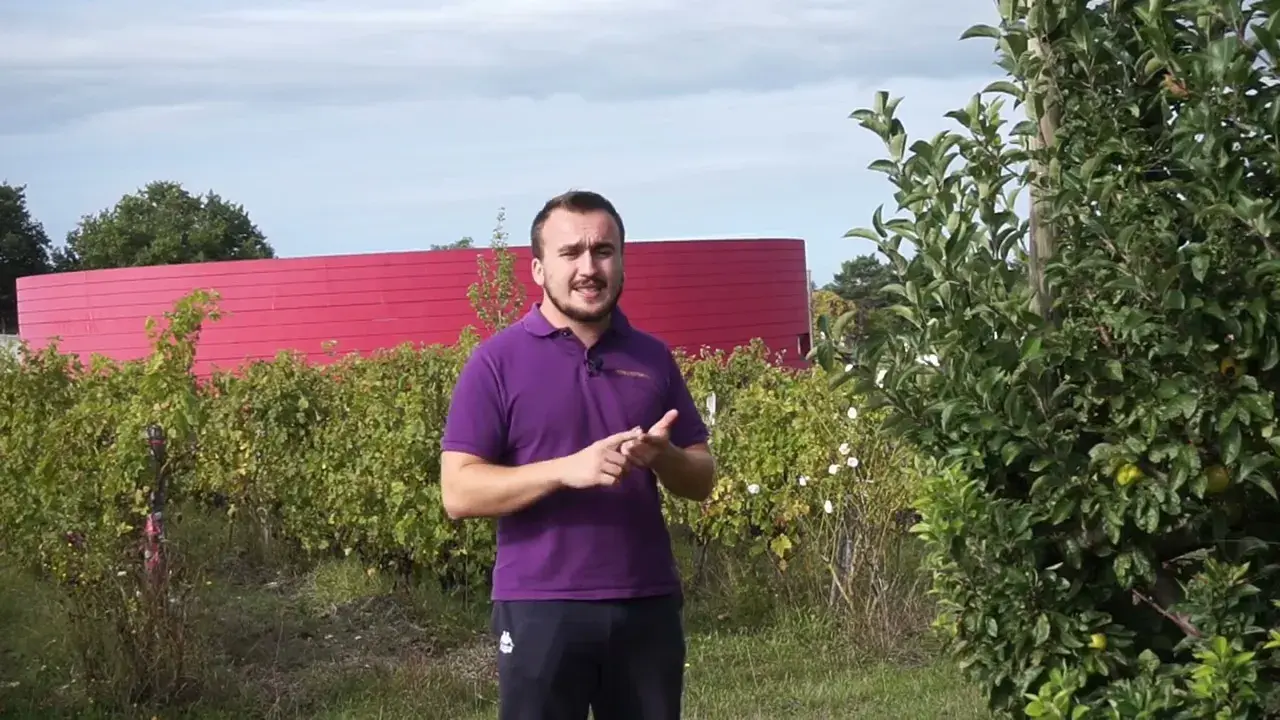 Présentation de notre domaine.
