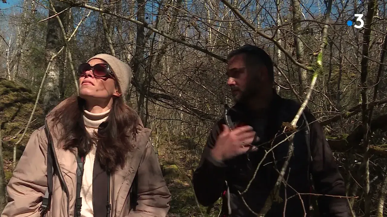 Titre de la vidéo manquant