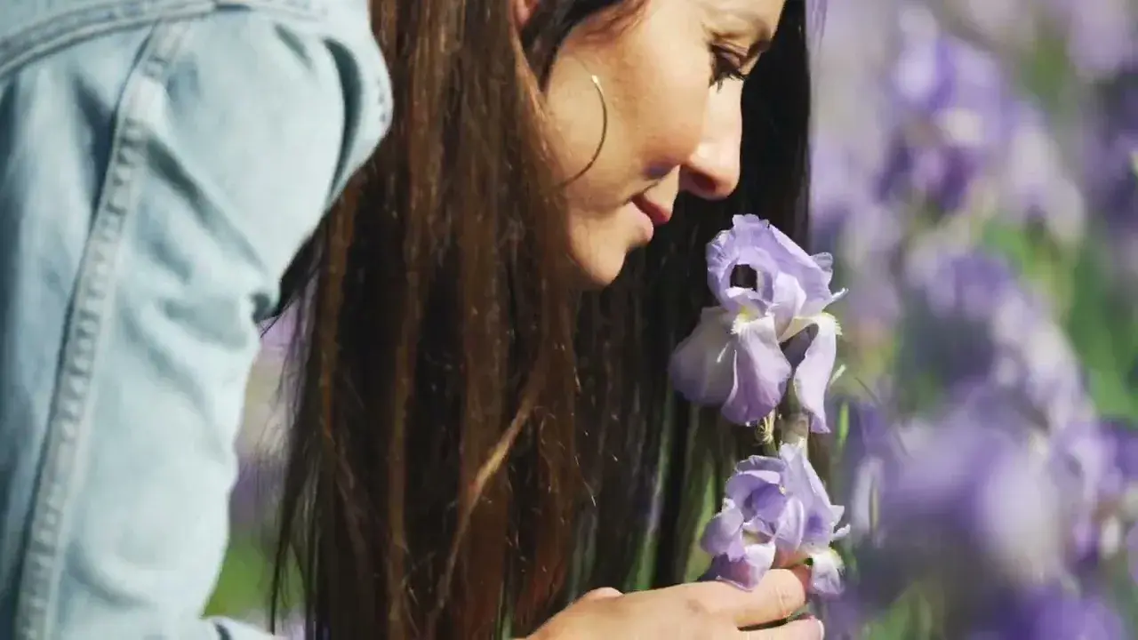 Grasse destination tourisme d'affaires EN