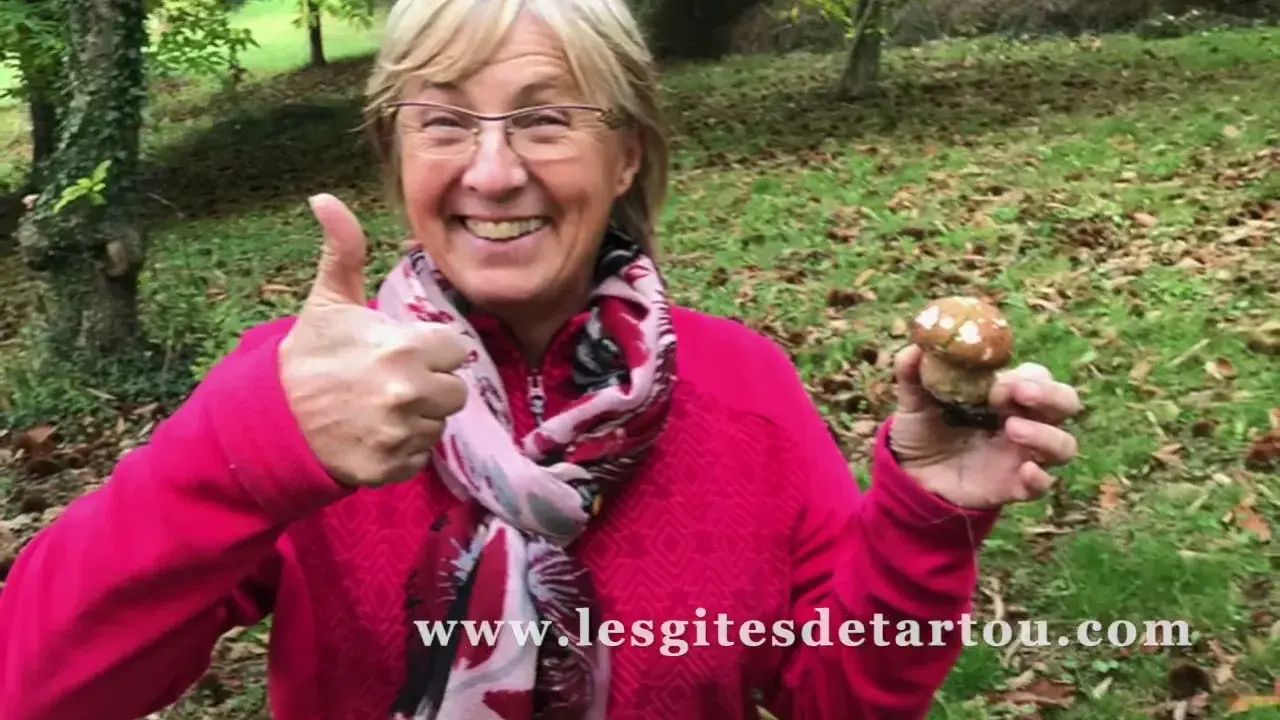 village de gîtes de tartou à ruoms en ardèche