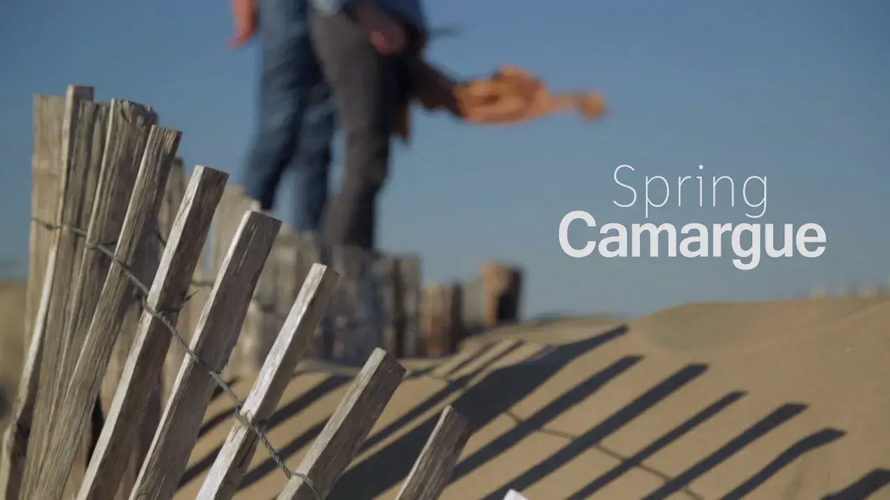 Printemps en Camargue - Enjoy Your Trip !