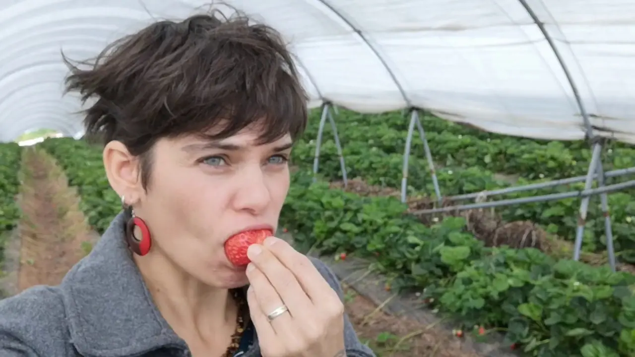 Périgord Attitude - Fraise du Perigord