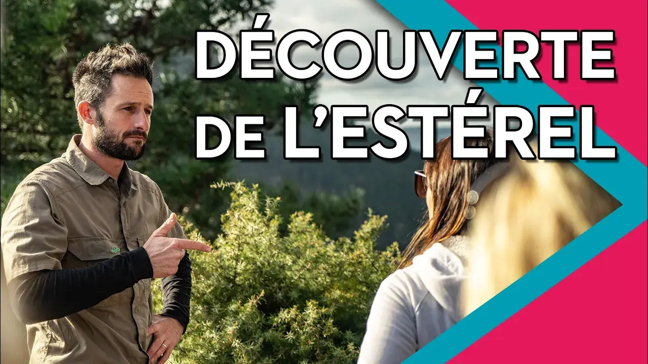 découverte de l'estérel avec un guide forestier