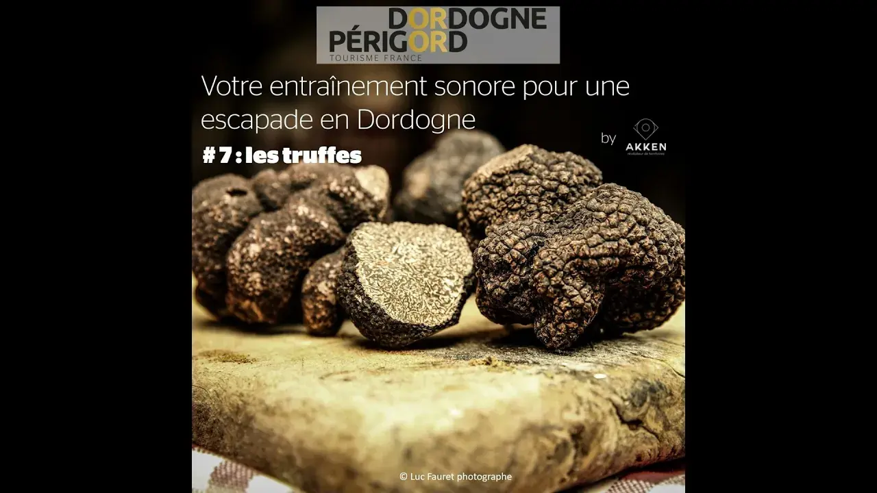 La truffe, merveille gastronomique périgourdine