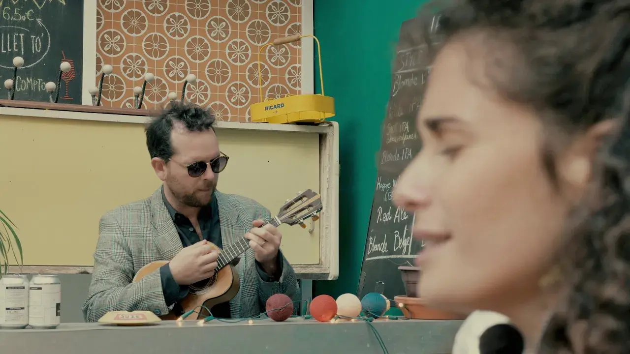 Elefante - Certidão