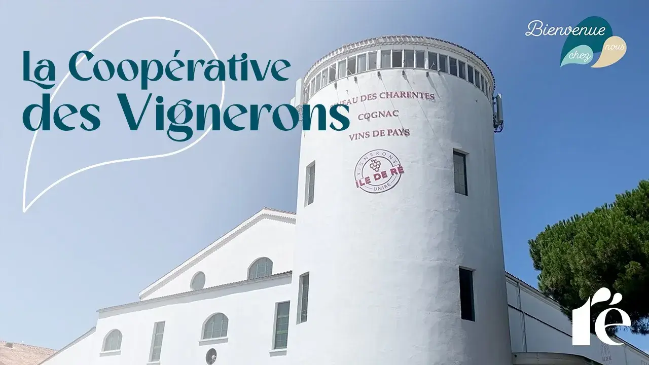 La Coopérative des Vignerons