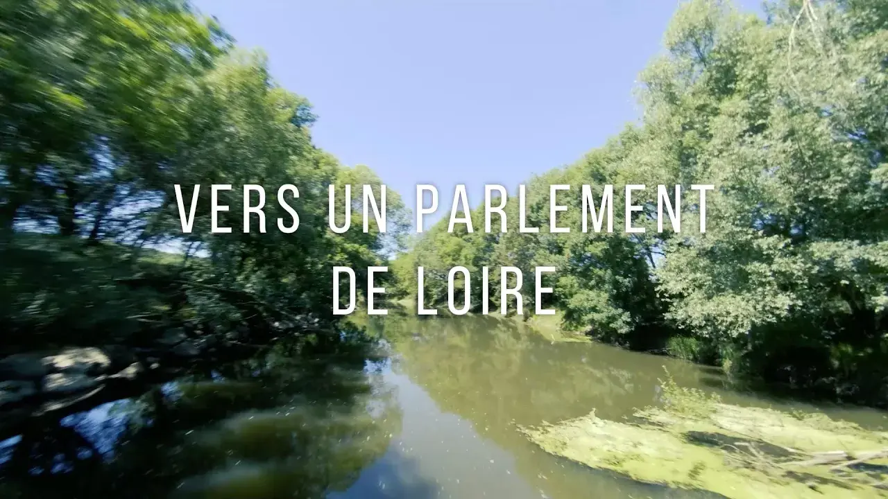Vers un parlement de Loire