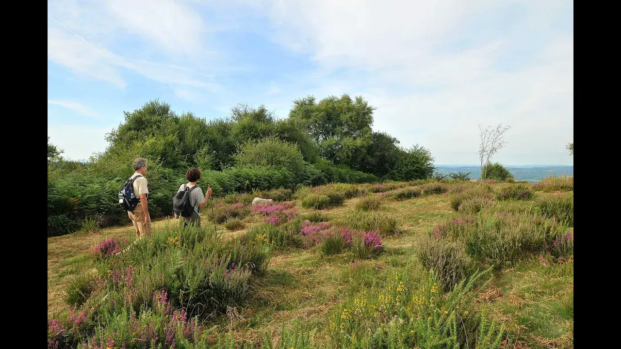 Le Mont Gargan en Haute-Vienne