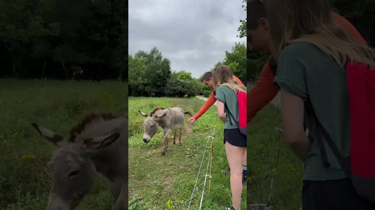 Sur les traces de la Préhistoire aux Eyzies : Des sentiers pour découvrir et comprendre nos ancêtres