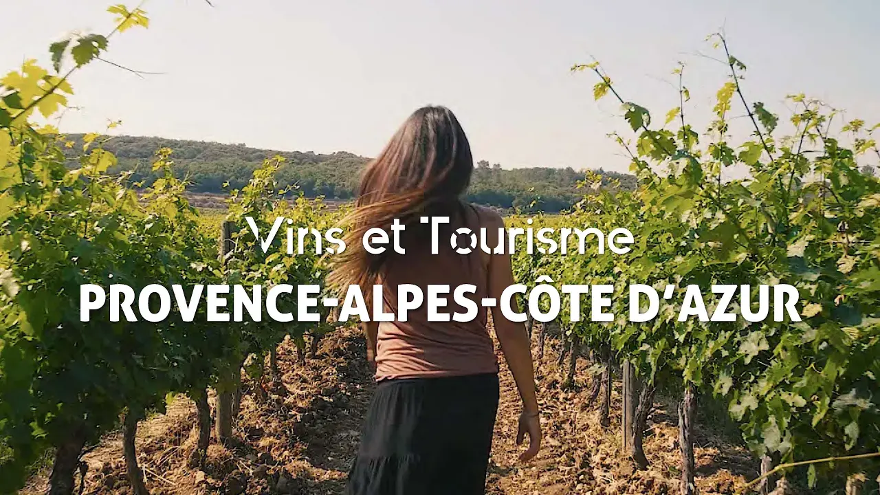 A la découverte des vins et vignobles de Provence-Alpes-Côte d'Azur