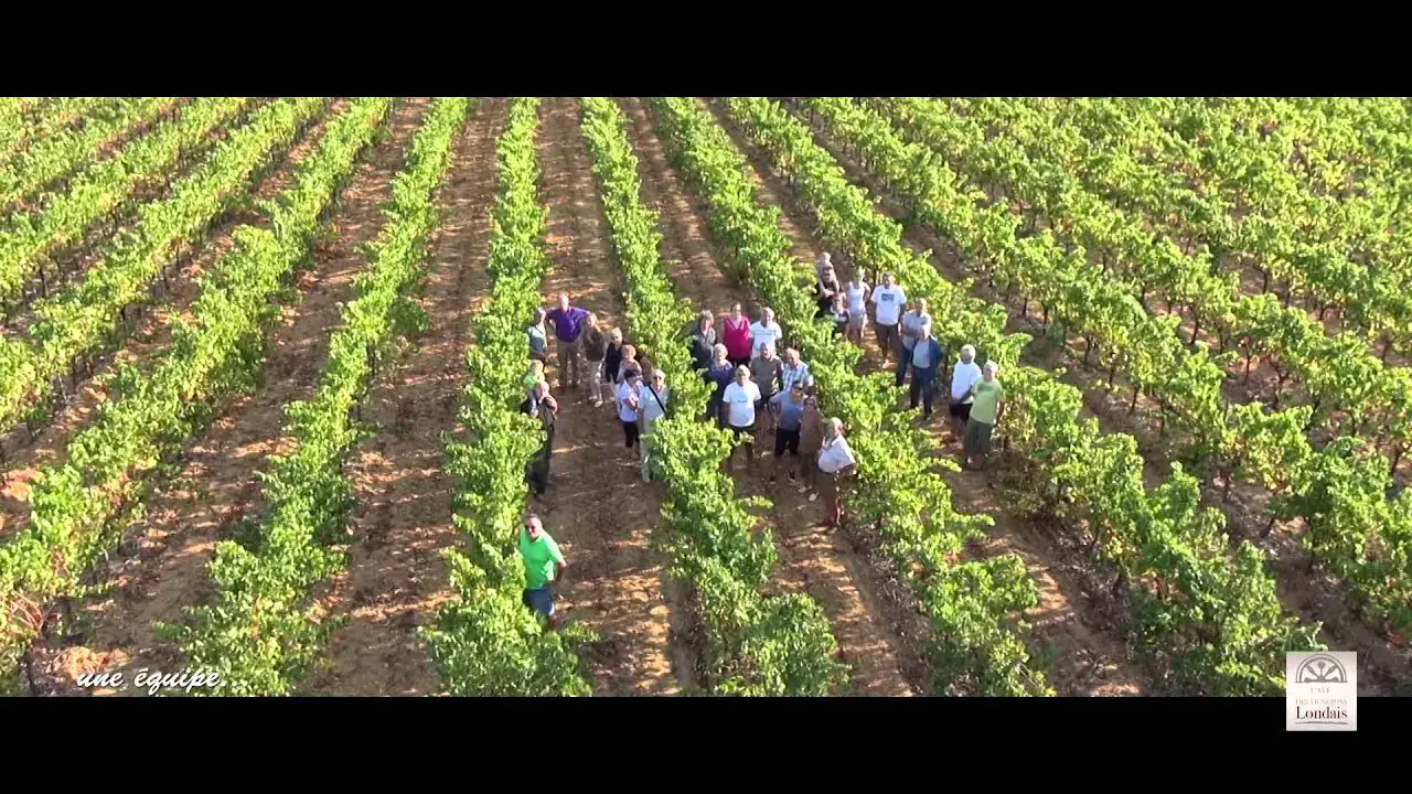 vidéo aérienne par drone de la coopérative londaise