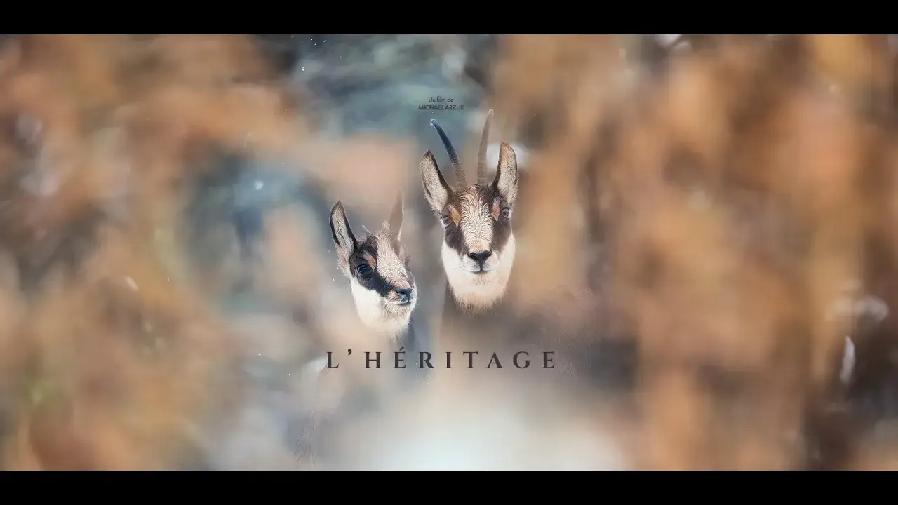 bande annonce l'héritage