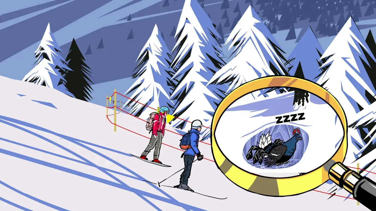 Pour la faune, respectez les zones de tranquillité 🙏🏻