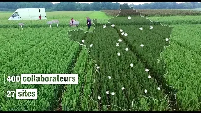 3 minutes pour… découvrir ARVALIS – Institut du végétal