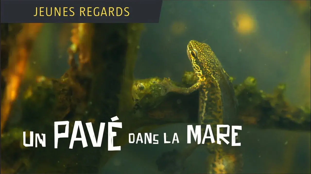bande annonce - un pavé dans la mare