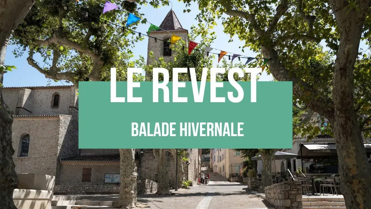 balade au lac du revest, en hiver