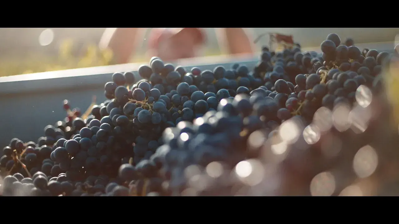 château les valentines