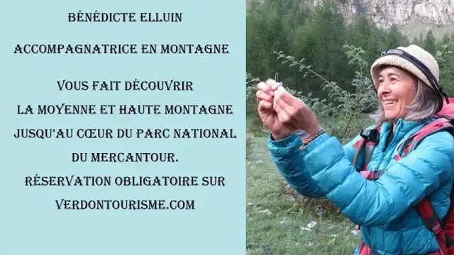 Titre de la vidéo manquant