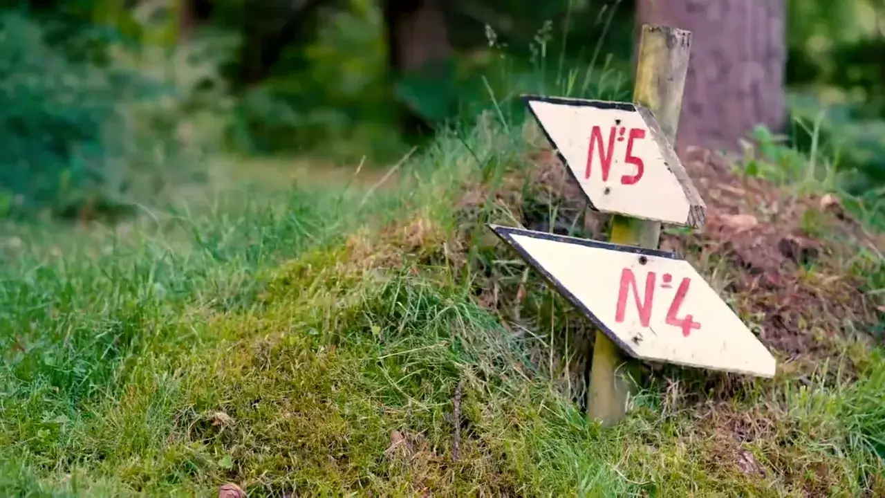 l'ours maçon - resto, bar, concert & putting-golf