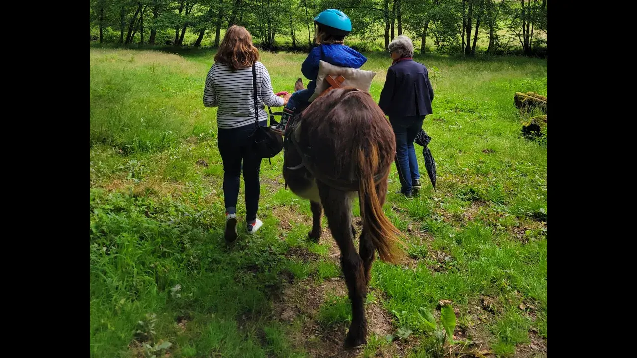 Les Ânes de Vassiviere - Peyrat le Château
