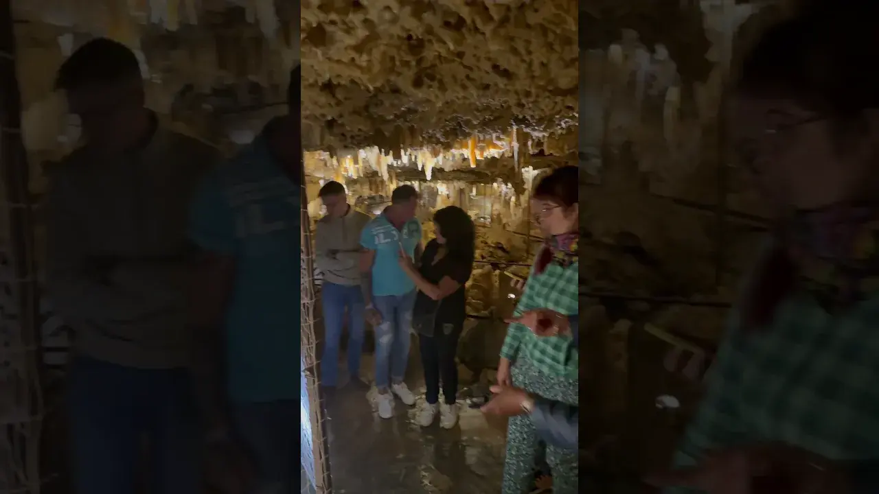 Un aperçu en vidéo...