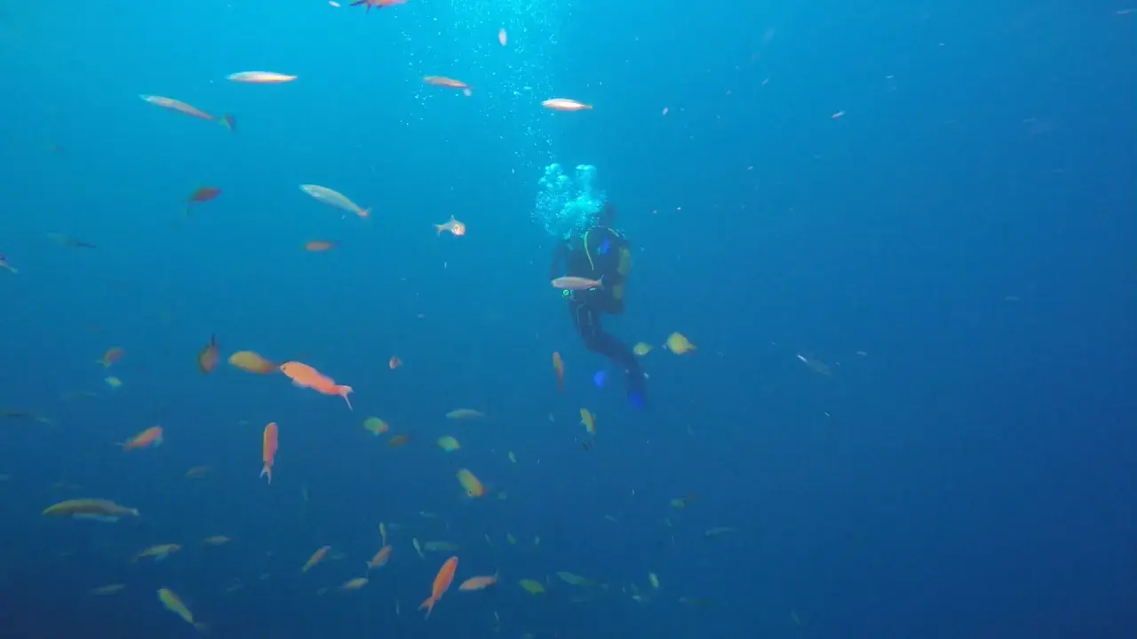 une plongée sur le sec de l'armoire