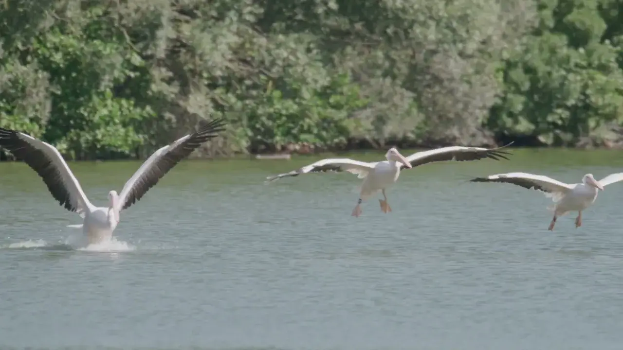 La Dombes, paysages de rêve et nature préservée